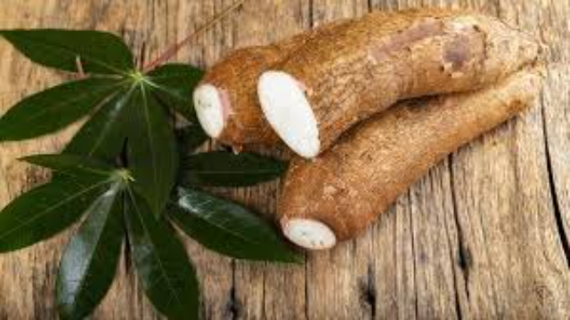 7 Manfaat Singkong untuk Kesehatan