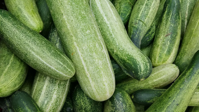 7 Manfaat Mentimun untuk Kesehatan Tubuh